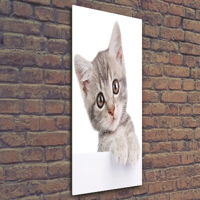 Quadro stampa su vetro verticale Gatto grigio