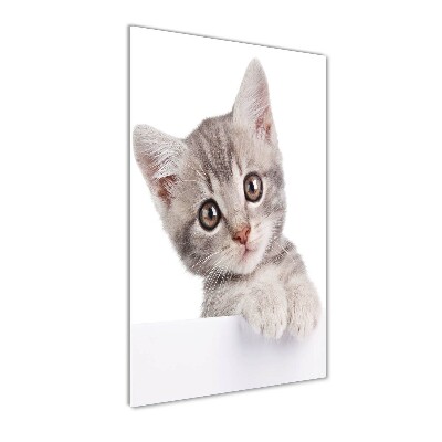 Quadro stampa su vetro verticale Gatto grigio