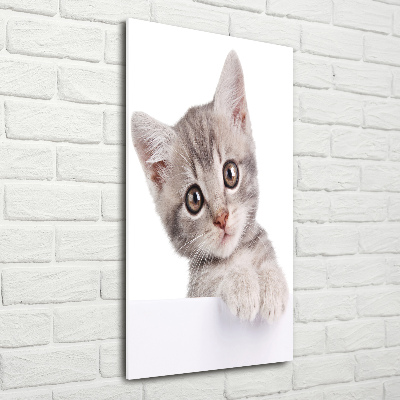 Quadro stampa su vetro verticale Gatto grigio