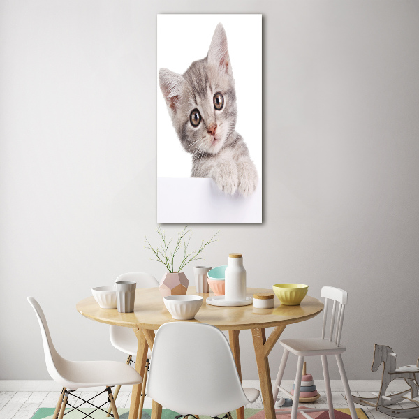 Quadro stampa su vetro verticale Gatto grigio