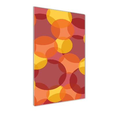 Quadro in vetro verticale Cerchi colorati