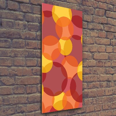 Quadro in vetro verticale Cerchi colorati