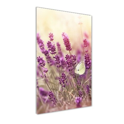 Quadro vetro verticale Fiori di lavanda