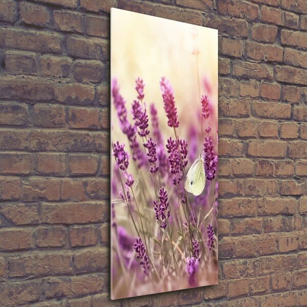 Quadro vetro verticale Fiori di lavanda