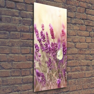 Quadro vetro verticale Fiori di lavanda