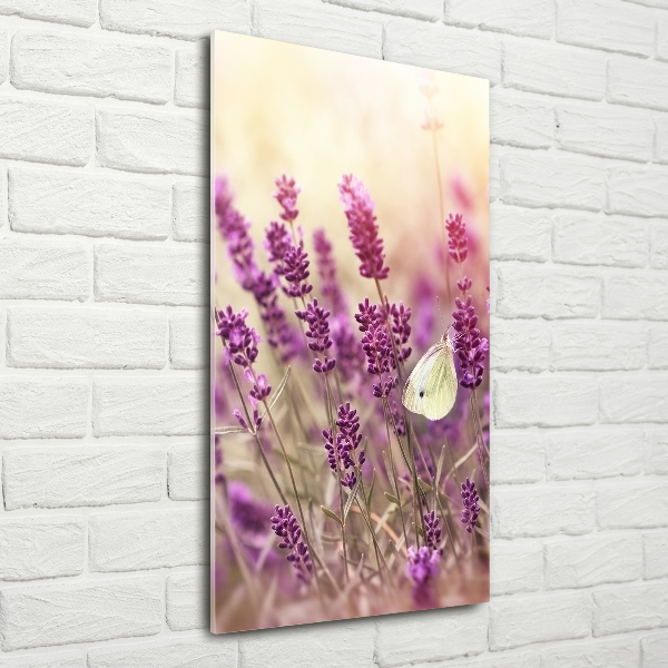 Quadro vetro verticale Fiori di lavanda