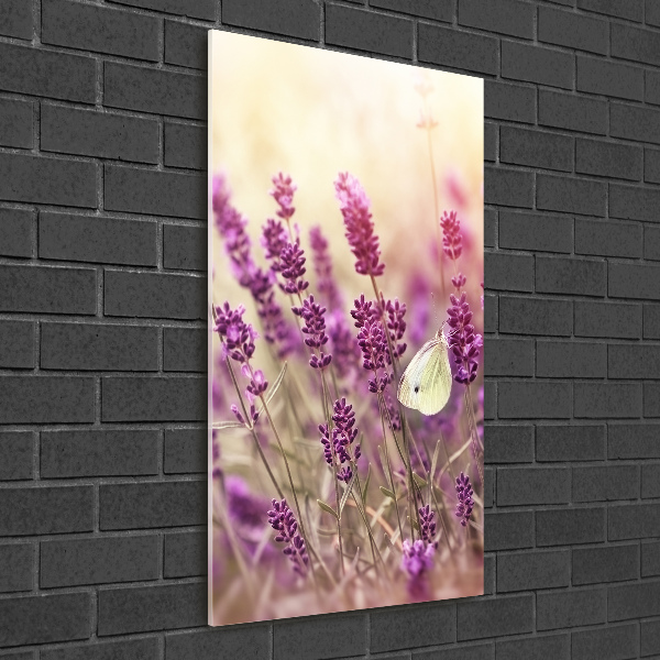 Quadro vetro verticale Fiori di lavanda