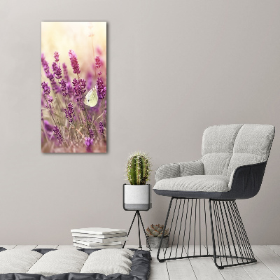 Quadro vetro verticale Fiori di lavanda