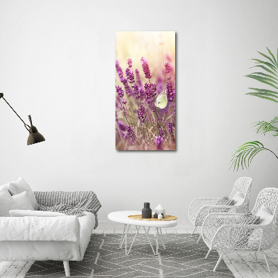 Quadro vetro verticale Fiori di lavanda
