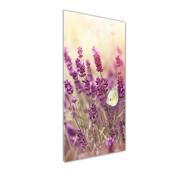 Quadro vetro verticale Fiori di lavanda