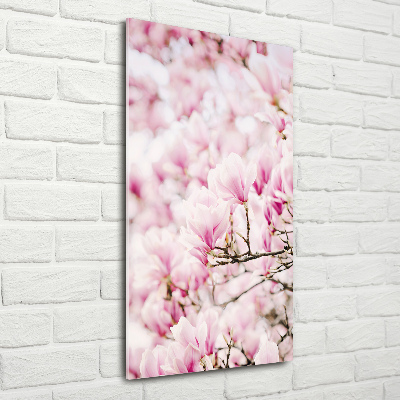 Quadro stampa su vetro verticale Fiori di magnolia