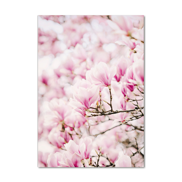 Quadro stampa su vetro verticale Fiori di magnolia