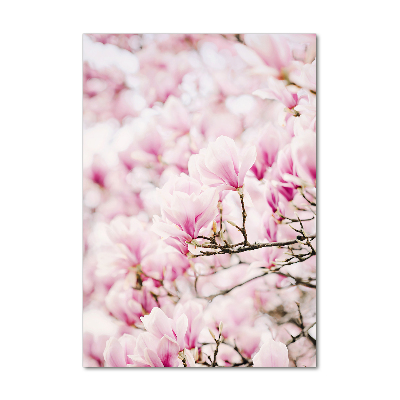 Quadro stampa su vetro verticale Fiori di magnolia