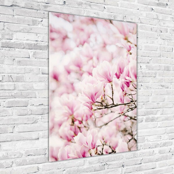 Quadro stampa su vetro verticale Fiori di magnolia