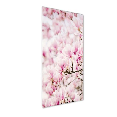 Quadro stampa su vetro verticale Fiori di magnolia