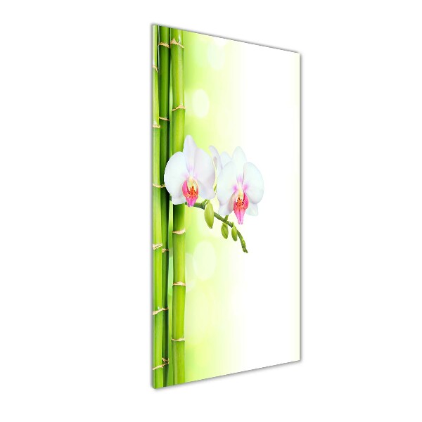 Quadro di vetro verticale Orchidea e bambù