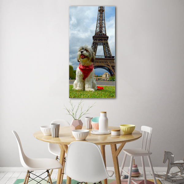 Quadro vetro verticale Un cane a Parigi