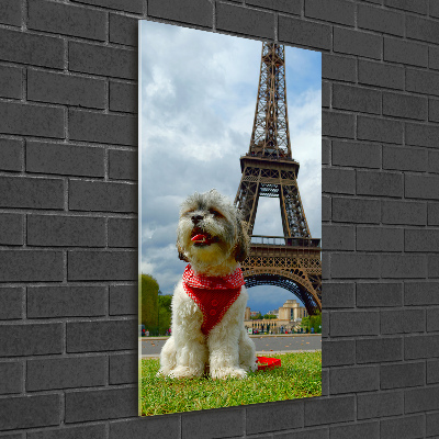 Quadro vetro verticale Un cane a Parigi