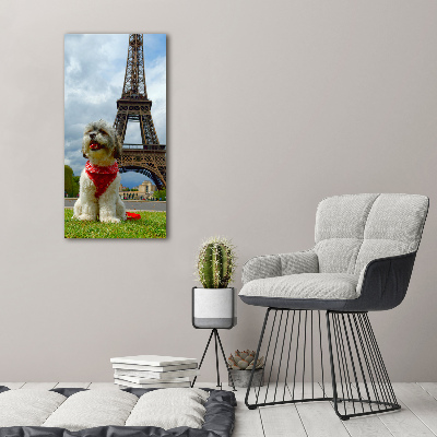 Quadro vetro verticale Un cane a Parigi