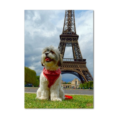 Quadro vetro verticale Un cane a Parigi