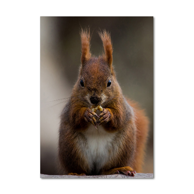 Quadro stampa su vetro verticale Scoiattolo