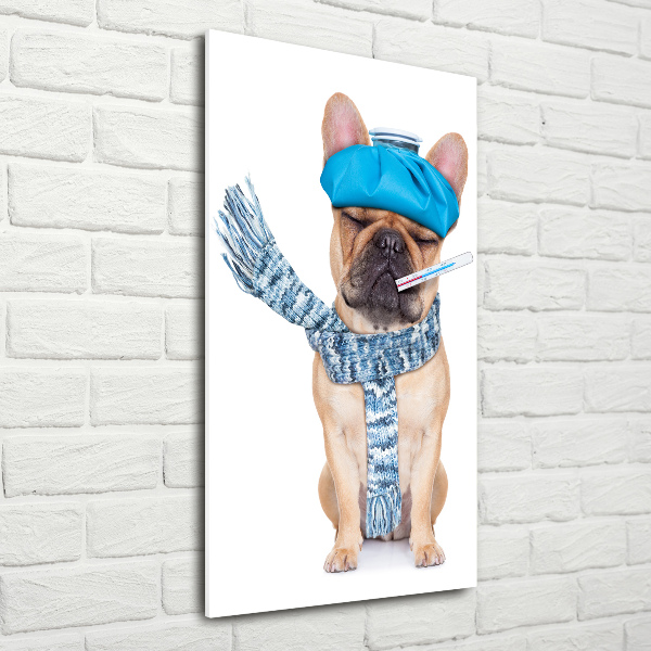 Quadro stampa su vetro verticale Cane malato