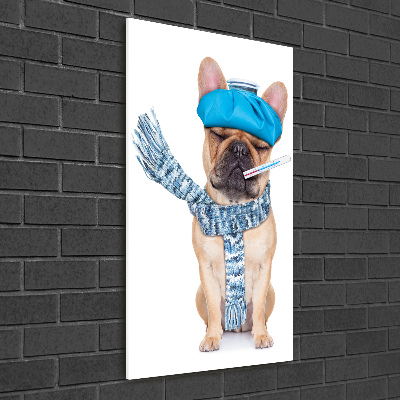 Quadro stampa su vetro verticale Cane malato