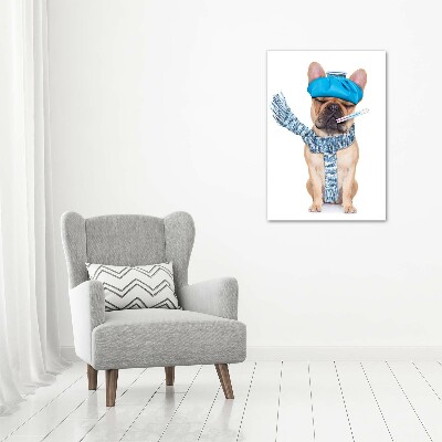 Quadro stampa su vetro verticale Cane malato