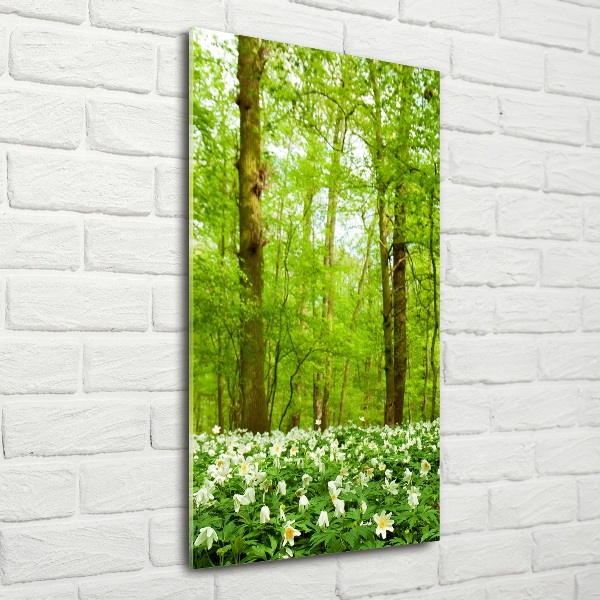 Quadro stampa su vetro verticale Fiori nella foresta