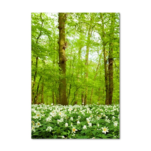Quadro stampa su vetro verticale Fiori nella foresta