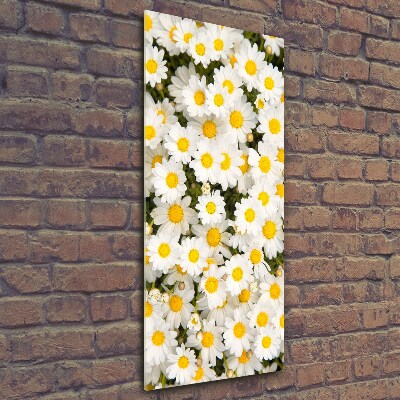Quadro di vetro verticale Fiori di margherita