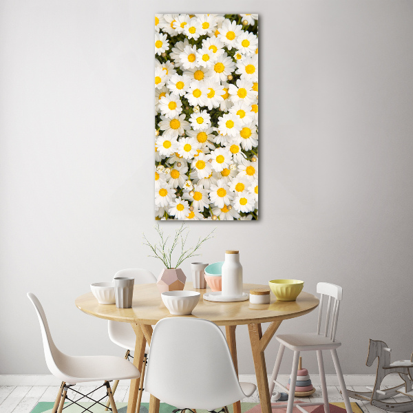 Quadro di vetro verticale Fiori di margherita