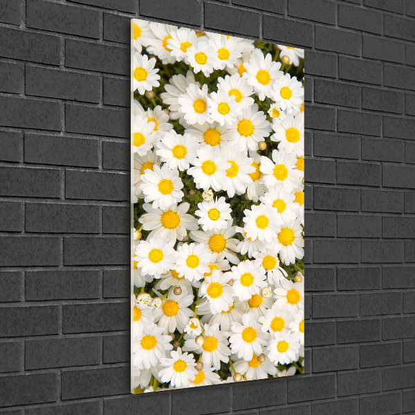 Quadro di vetro verticale Fiori di margherita
