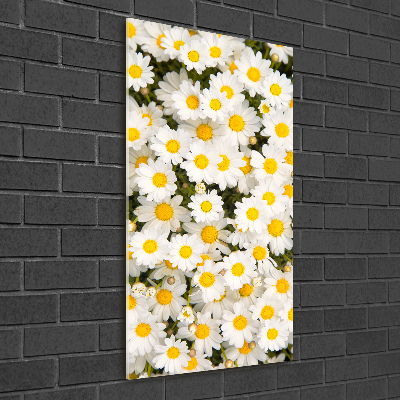 Quadro di vetro verticale Fiori di margherita