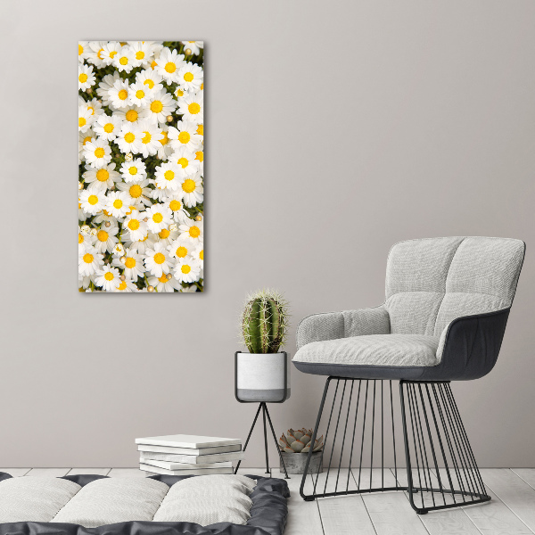Quadro di vetro verticale Fiori di margherita