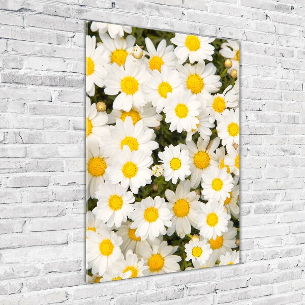Quadro di vetro verticale Fiori di margherita