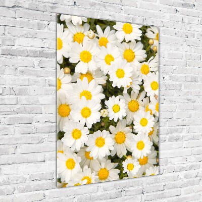 Quadro di vetro verticale Fiori di margherita