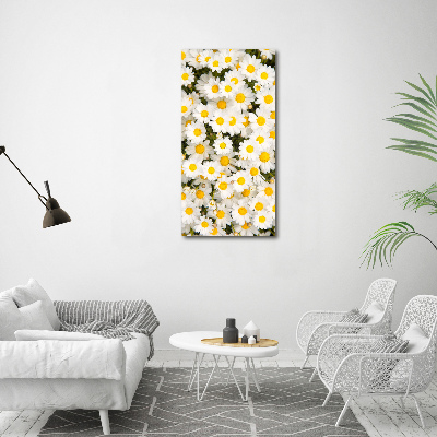Quadro di vetro verticale Fiori di margherita
