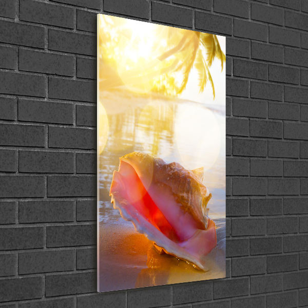 Quadro di vetro verticale Una conchiglia sulla spiaggia
