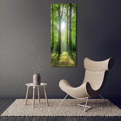 Quadro in vetro verticale Il sole nella foresta