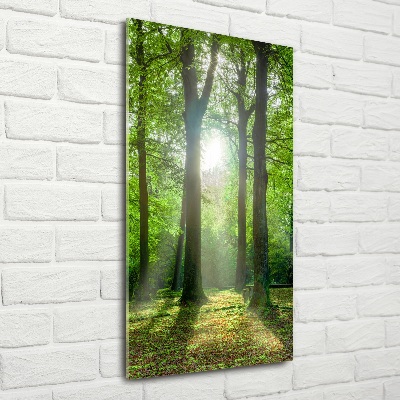 Quadro in vetro verticale Il sole nella foresta
