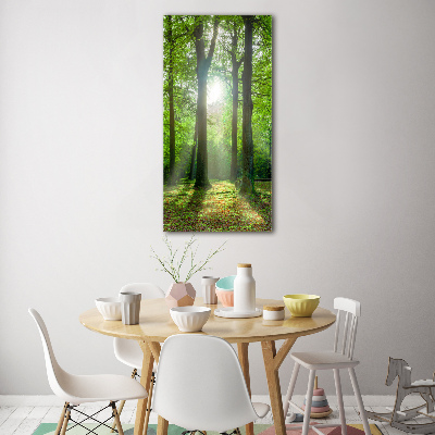 Quadro in vetro verticale Il sole nella foresta