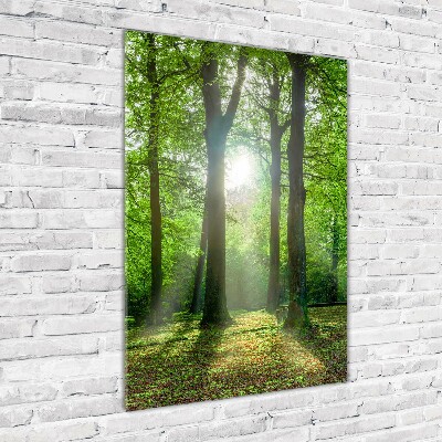 Quadro in vetro verticale Il sole nella foresta