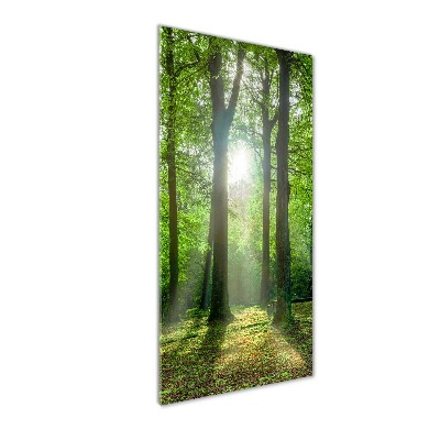 Quadro in vetro verticale Il sole nella foresta