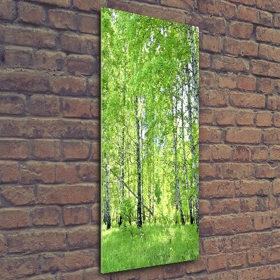 Quadro stampa su vetro verticale Foresta di betulle