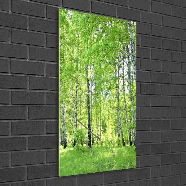 Quadro stampa su vetro verticale Foresta di betulle