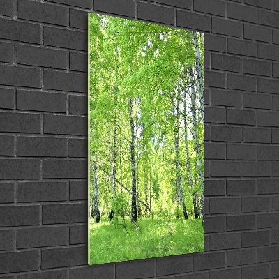 Quadro stampa su vetro verticale Foresta di betulle
