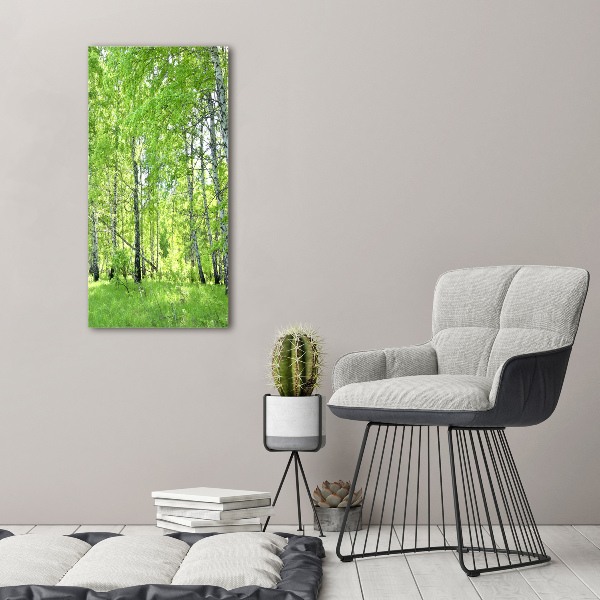 Quadro stampa su vetro verticale Foresta di betulle