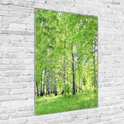 Quadro stampa su vetro verticale Foresta di betulle