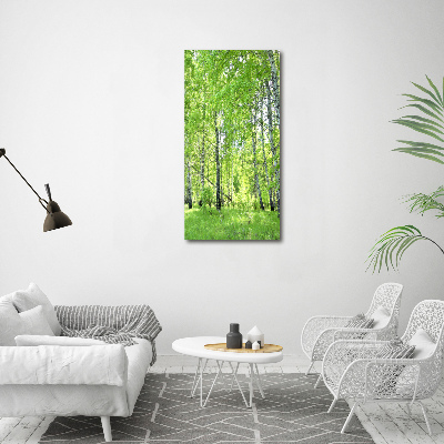 Quadro stampa su vetro verticale Foresta di betulle